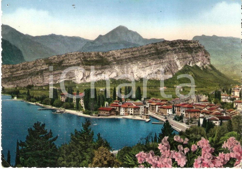 Cartolina originale da collezione 1958 TORBOLE TN Panorama con abitato e Lago di Garda Cartolina FG NV 1