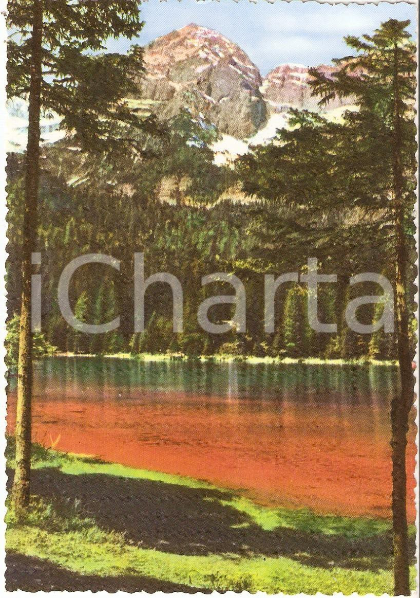 Cartolina originale da collezione 1960 ca TUENNO TN Lago rosso di TOVEL nel Gruppo del BRENTA Cartolina FG NV 1