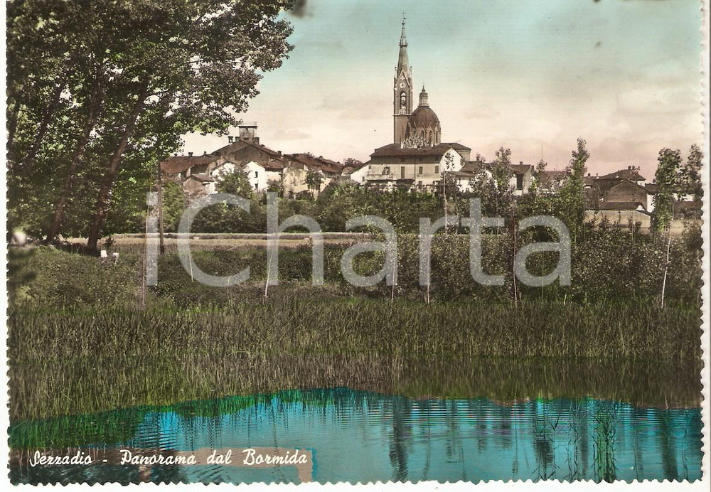 Cartolina originale da collezione 1950 ca SEZZADIO AL Panorama dal fiume BORMIDA Cartolina FG NV 1