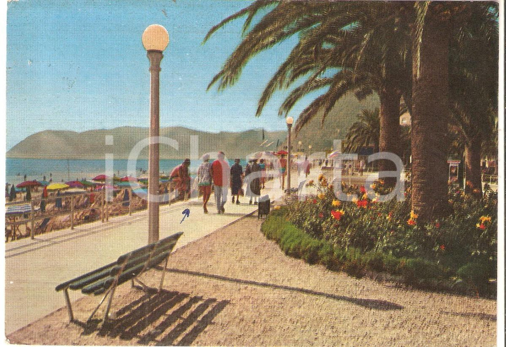 Cartolina originale da collezione 1961 ALASSIO SV Passeggiata a CAPO MELE Panorama Cartolina FG VG 1