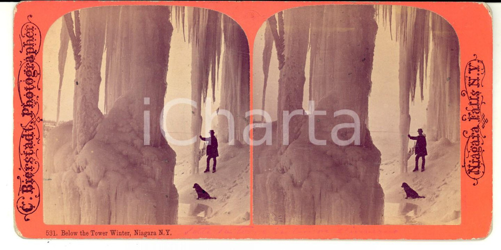Fotografia d epoca originale 1890 NIAGARA FALLS NY Man with dog below the Tower Winter Stereoscopic photo 1