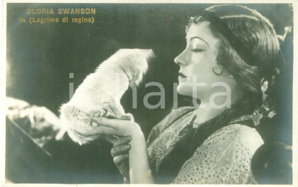 Cartolina originale da collezione 1927 LAGRIME DI REGINA Gloria SWANSON Ritratto con gatto Cartolina FP VG 1