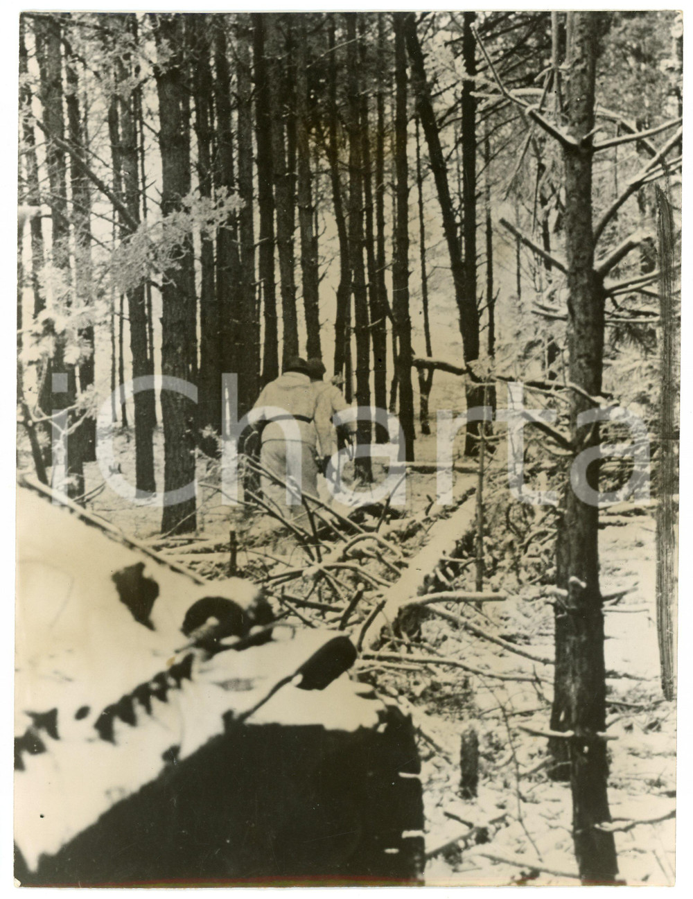 Fotografia d epoca originale 1944 FRONTE ORIENTALE WW2 Paracadutisti tedeschi si inoltrano in un bosco Foto 1