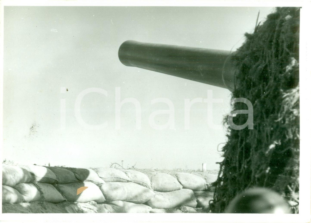 Fotografia d epoca originale 1942 AGEDABIA LIBIA WW2 Grosso calibro in postazione mimetica Fotografia 1