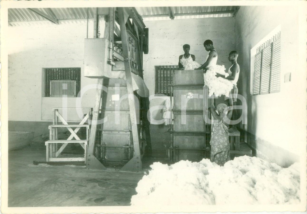 Fotografia d epoca originale 1940 ca AFGOI SOMALIA Operai indigeni immagazzinano il cotone Fotografia 1