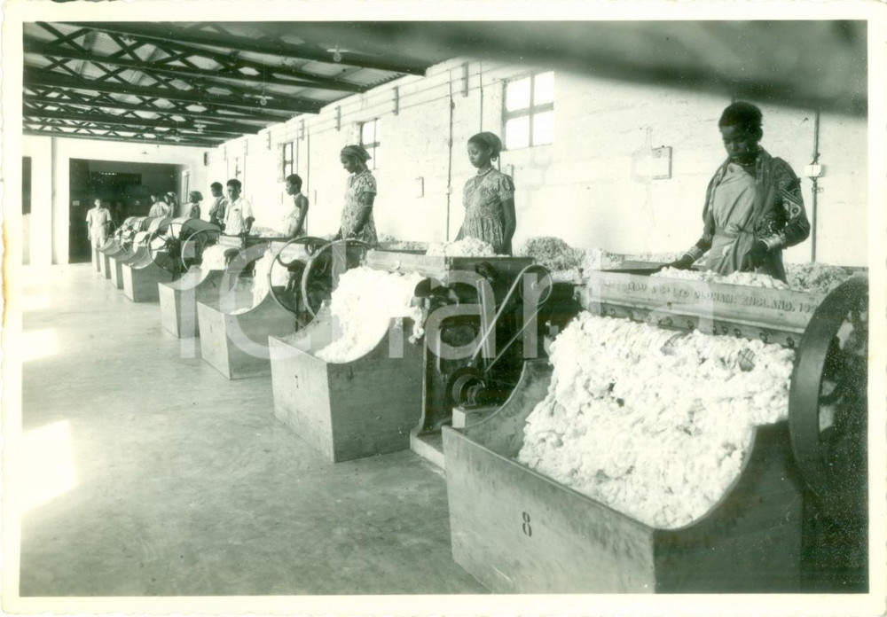 Fotografia d epoca originale 1940 ca AFGOI SOMALIA Operaie agli sgranatoi di cotone PLATT BROS Fotografia 1