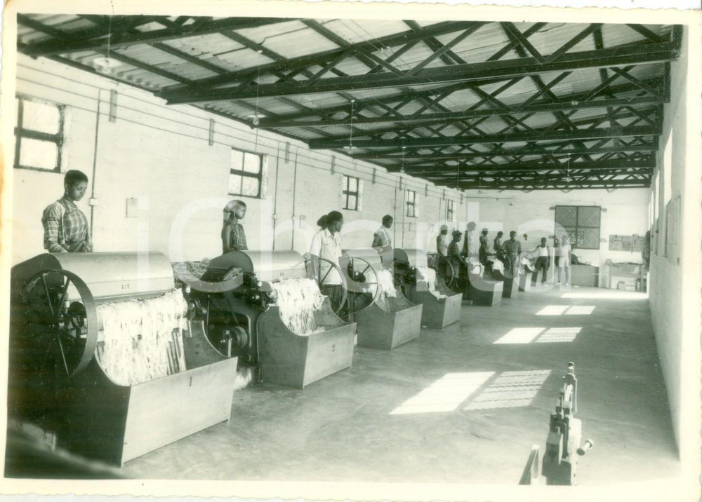 Fotografia d epoca originale 1940 ca AFGOI SOMALIA Operaie agli sgranatoi di cotone PLATT BROS Fotografia 1