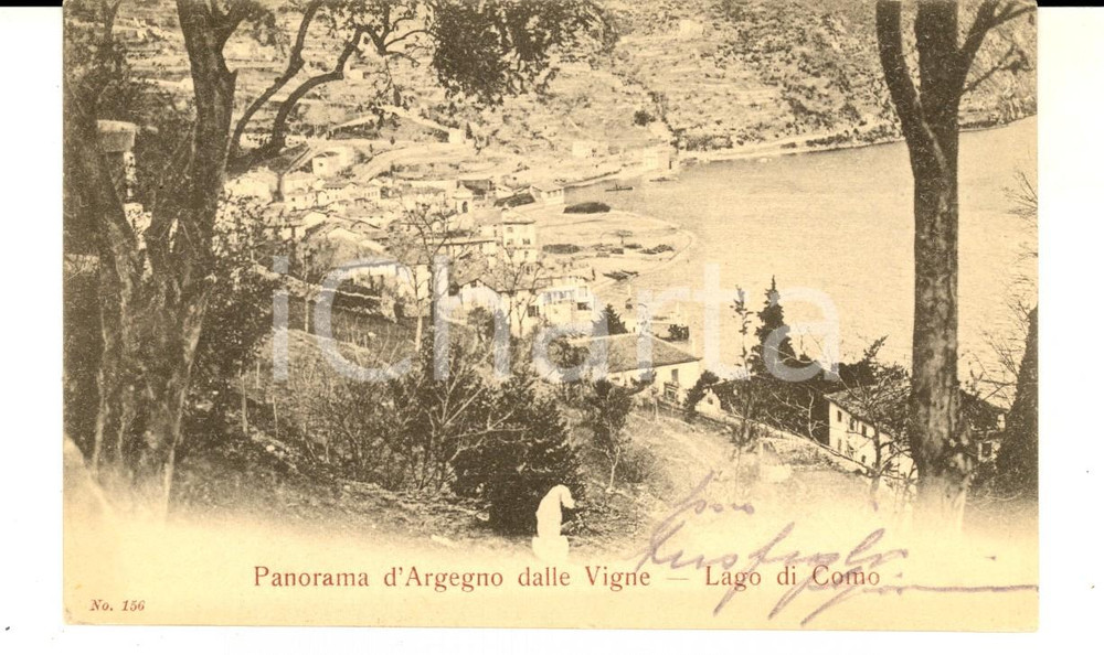 Cartolina originale da collezione 1904 ARGEGNO CO Panorama visto dalle Vigne  Lago COMO Cartolina FP VG 1