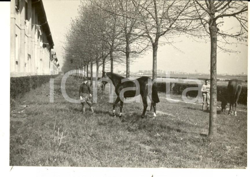 Fotografia d epoca originale 1950 CASTIGLIONE OLONA Riposo durante una gita a cavallo Foto ARTISTICA 10x8 1