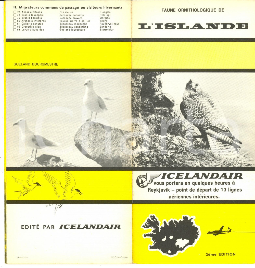 Materiale pubblicitario d’epoca 1963 ISLANDE Faune ornithologique Brochure ILLUSTREE 2eme édition ICELANDAIR 1 1
