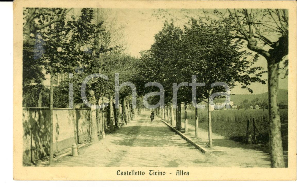 Cartolina originale da collezione 1924 CASTELLETTO TICINO NO Allea Cartolina postale ANIMATA FP VG 1