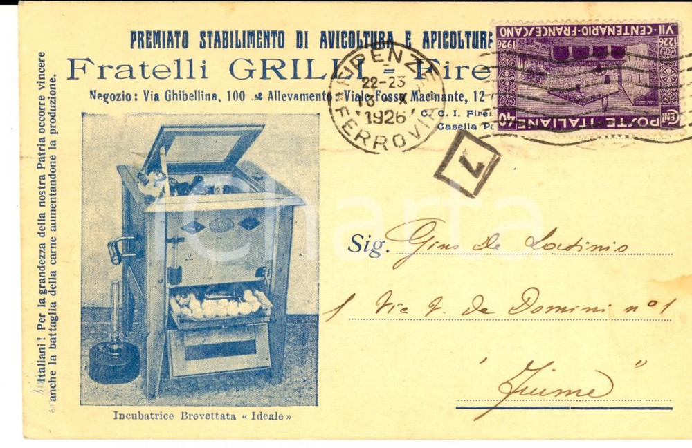 Materiale pubblicitario d’epoca 1926 FIRENZE Fratelli GRILLI Avicoltura e apicoltura Cartolina intestata FP VG 1