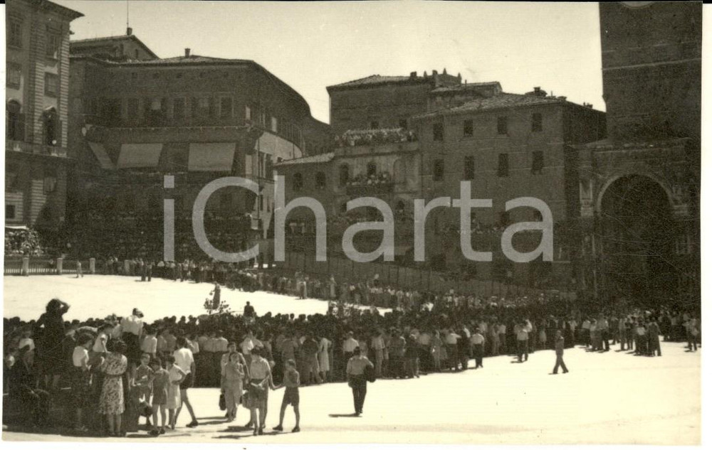 1952 PALIO DI SIENA Pubblico in PIAZZA DEL CAMPO *Foto ARTISTICA 14x9 cm