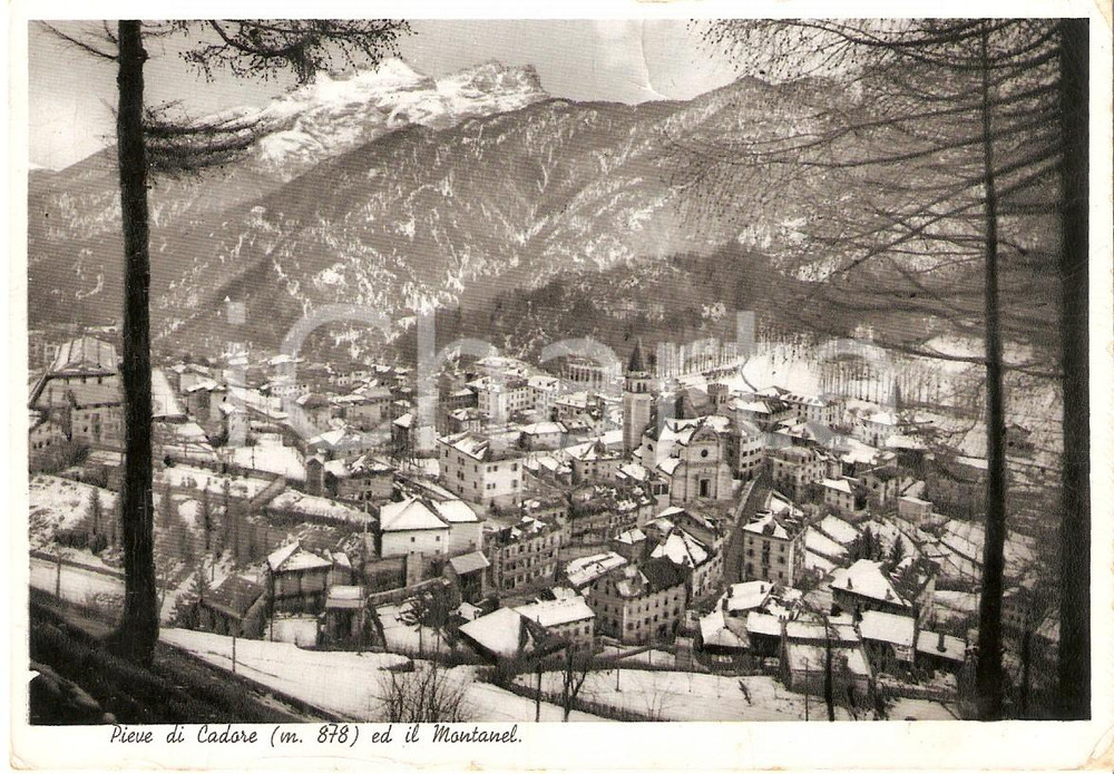 Cartolina originale da collezione 1943 PIEVE DI CADORE BL Panorama con Cima MONTANEL Cartolina FG VG 1