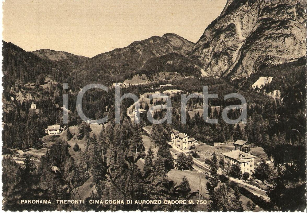 Cartolina originale da collezione 1955 ca VIGO DI CADORE BL Località TREPONTI e CIMA GOGNA Cartolina FG NV 1