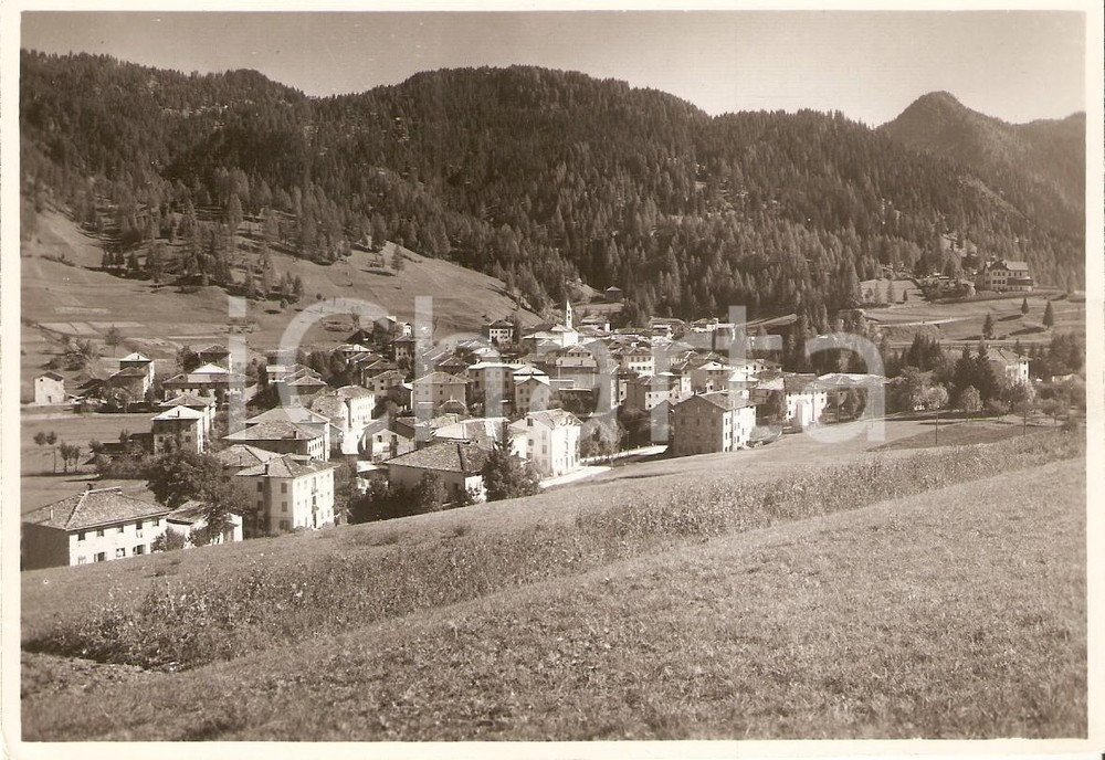 Cartolina originale da collezione 1950 LAGGIO DI CADORE BL Panorama del paese Cartolina FG VG 1