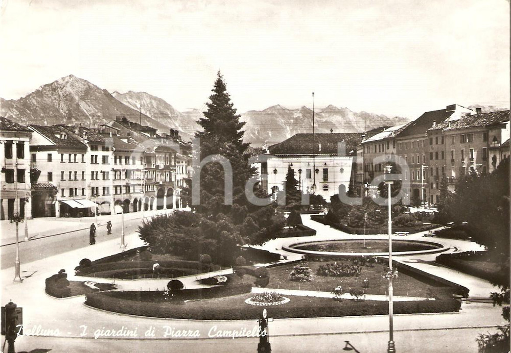 Cartolina originale da collezione 1963 BELLUNO Giardini di Piazza Campitello Cartolina FG VG 1