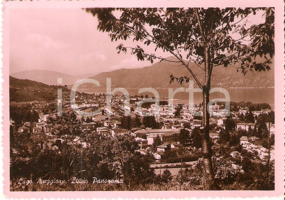 Cartolina originale da collezione 1952 LUINO VA Panorama con LAGO MAGGIORE Cartolina FG VG 1