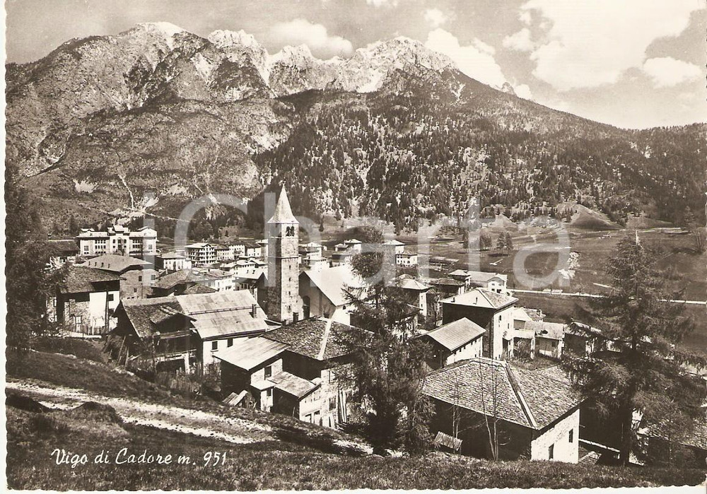 Cartolina originale da collezione 1960 VIGO DI CADORE BL Panorama del paese Cartolina FG VG 1