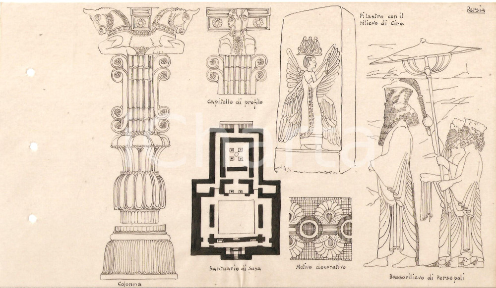 Stampa, bozzetto originale 1955 ca ARTE PERSIANA Bassorilievo di PERSEPOLI Lucido con disegno A MANO 1