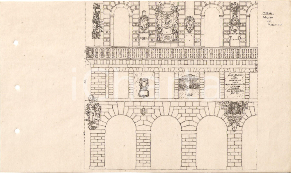 1955 ca PADOVA Prospetto Palazzo del Municipio *Lucido con disegno A MANO