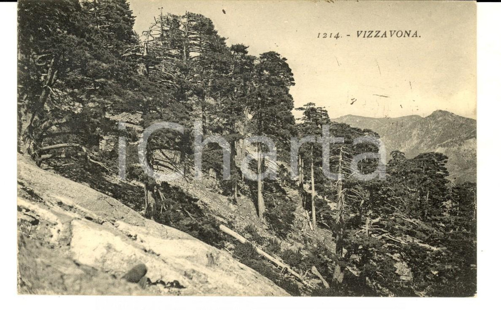 Cartolina originale da collezione 1910 ca VIZZAVONA CORSICA Veduta panoramica Cartolina VINTAGE FP NV 1
