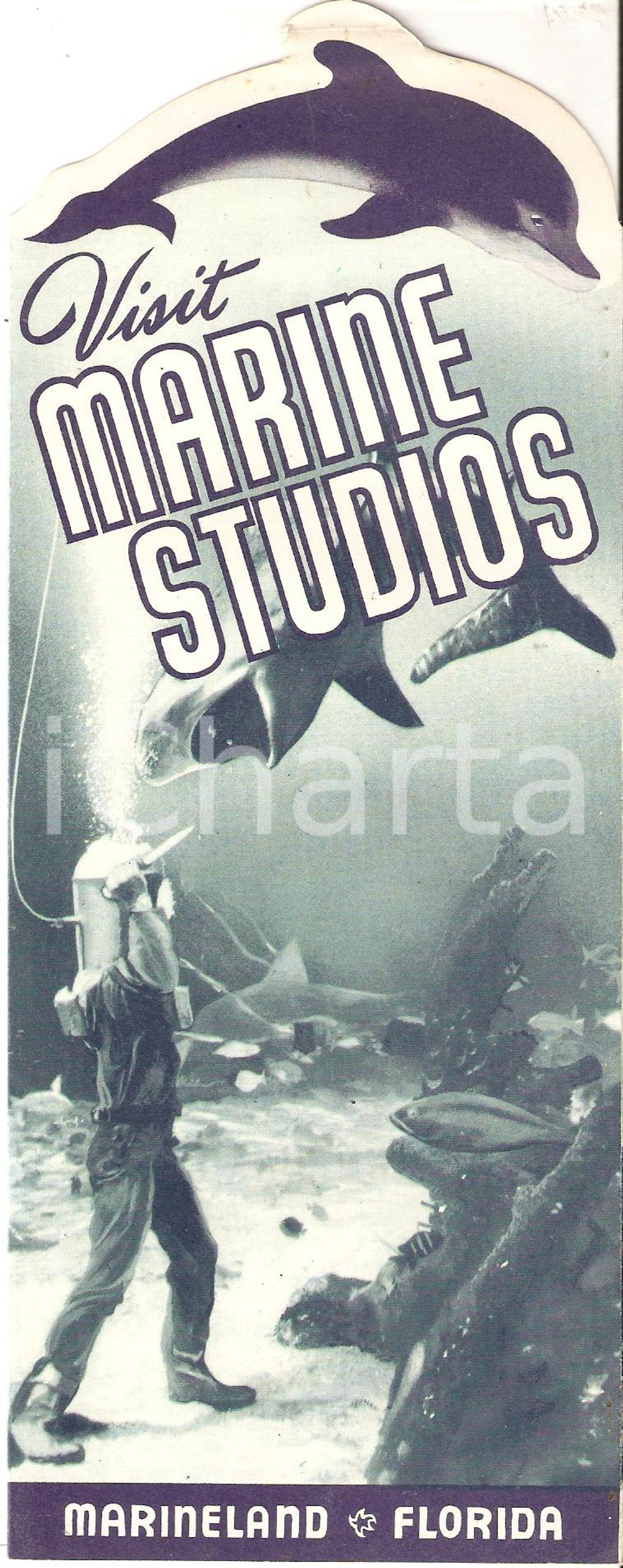 Materiale pubblicitario d’epoca 1950 ca MARINELAND FLORIDA Visit MARINE STUDIOS Pieghevole illustrato 1