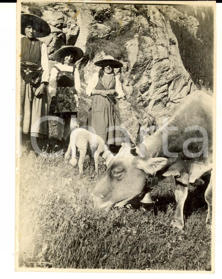 Fotografia d epoca originale 1928 MACUGNAGA VB Donne al pascolo in costume tradizionale Foto VINTAGE  8x11 1