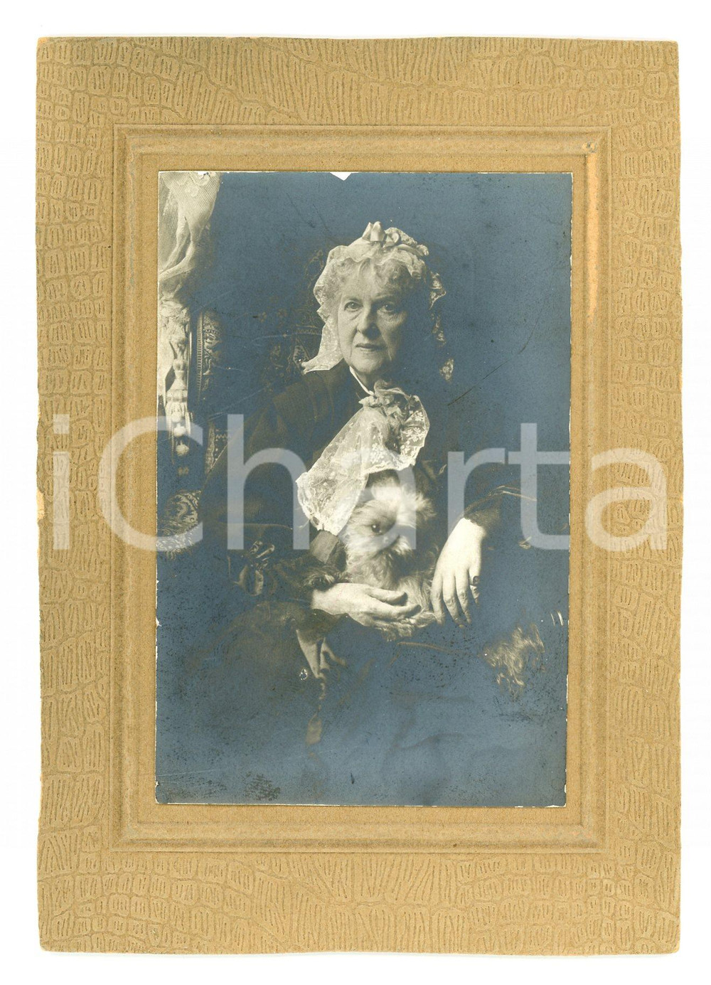Fotografia d epoca originale 1920 ca AREA LOMBARDA Ritratto di donna con cane barboncino Foto VINTAGE 10x14 1