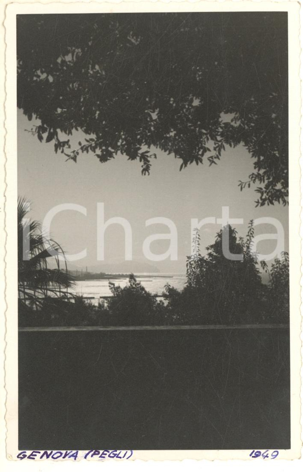 1949 GENOVA PEGLI Il mare visto in controluce *Fotocartolina VINTAGE