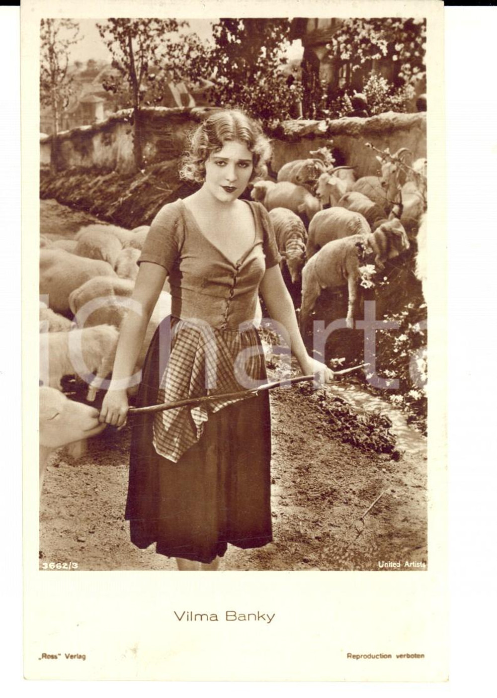 Cartolina originale da collezione 1925 ca CINEMA Vilma BANKY nei panni di una pastorella Cartolina FP NV 1