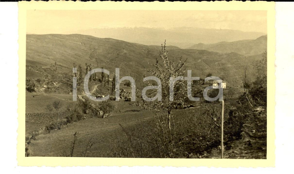 Fotografia d epoca originale 1941 WW2 HONDISHTA ALBANIA Accampamento italiano nella vallata Foto RUEDI 1