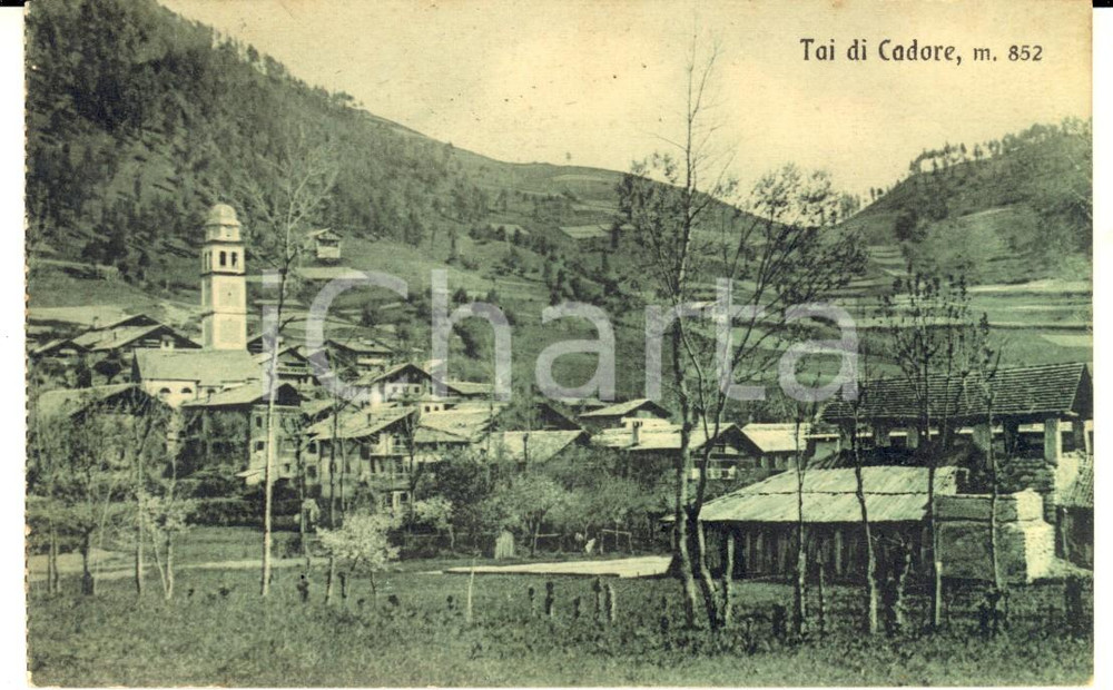 Cartolina originale da collezione 1921 TAI/ PIEVE DI CADORE BL Veduta panoramica della frazione Cartolina FP VG 1