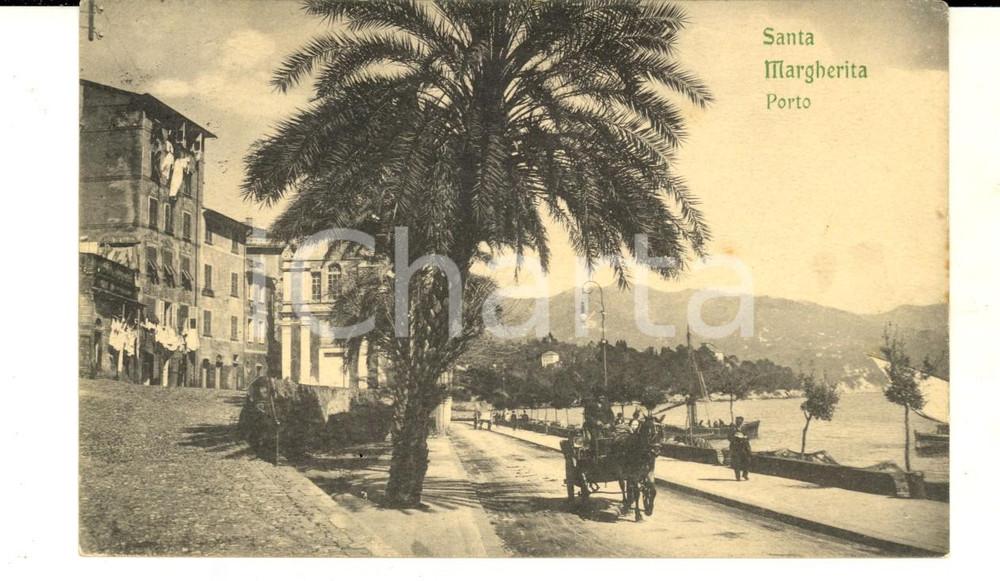 Cartolina originale da collezione 1914 SANTA MARGHERITA LIGURE GE Veduta del porto Cartolina ANIMATA calesse 1