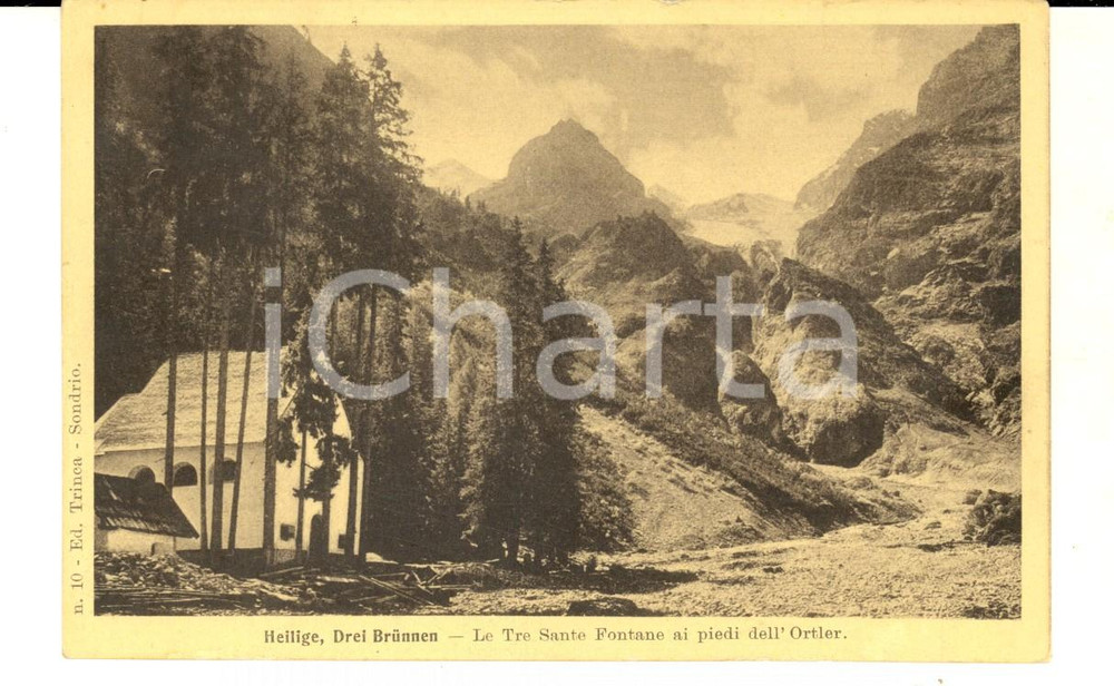Cartolina originale da collezione 1915 ca BOLZANO Gruppo ORTLER e le Tre Sante Fontane Cartolina postale FP NV 1
