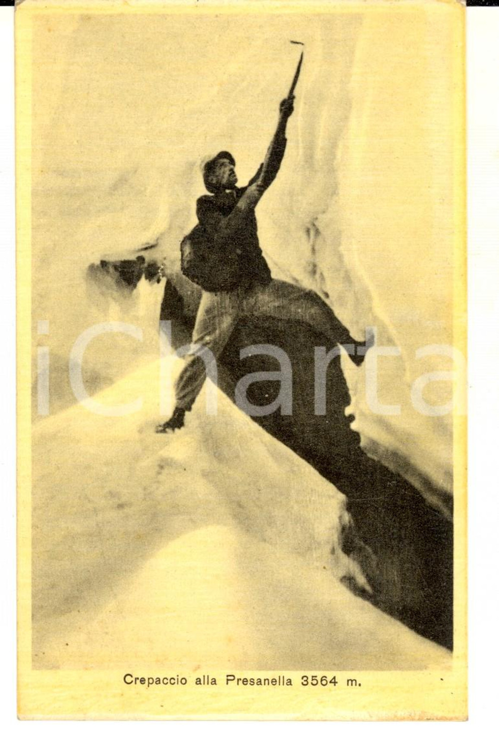 1915 ca TRENTINO Crepaccio alla PRESANELLA con alpino *Cartolina FP NV