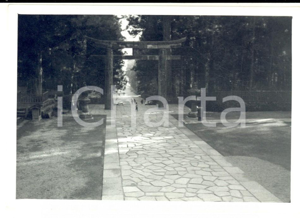 Fotografia d epoca originale 1958 NIKKO JAPAN Il Torii monumentale e il viale alberato Foto 12x8 cm 1