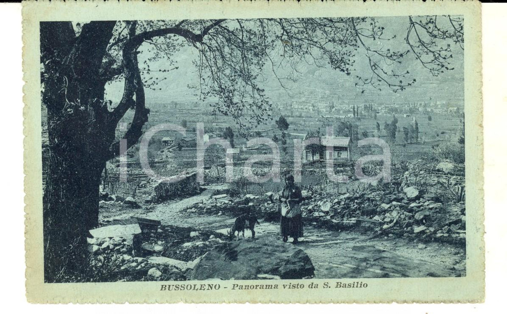 Cartolina originale da collezione 1918 BUSSOLENO TO Panorama visto da S. BASILIO Cartolina VINTAGE FP VG 1
