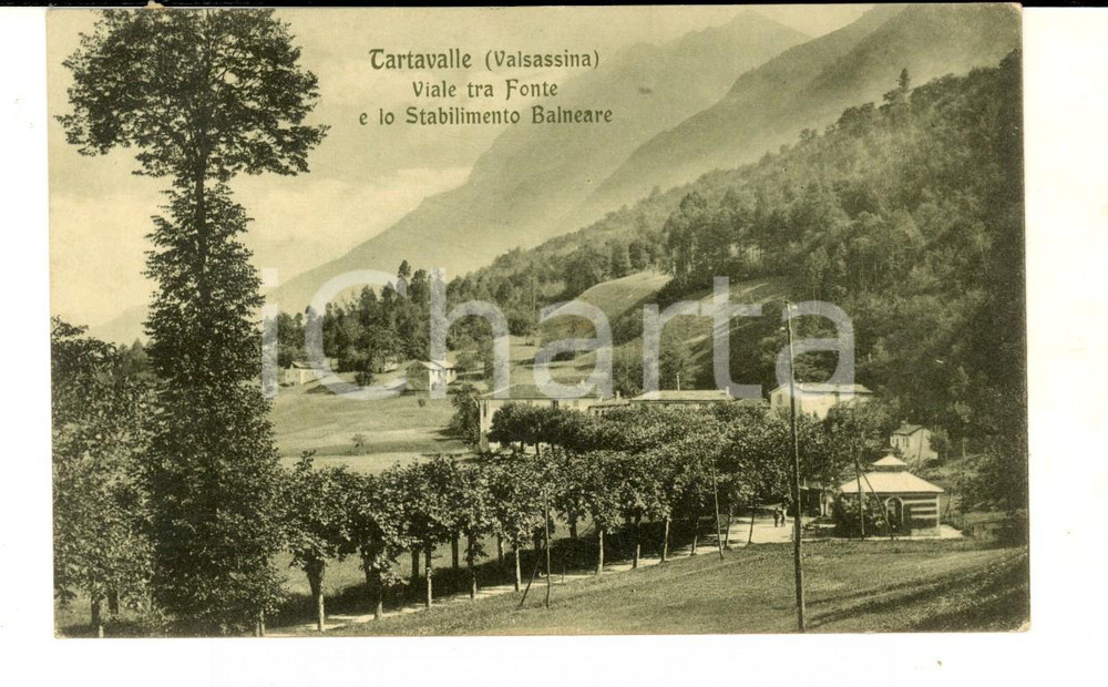 Cartolina originale da collezione 1916 TARTAVALLE LC Viale tra Fonte e Stabilimento balneare Cartolina FP VG 1