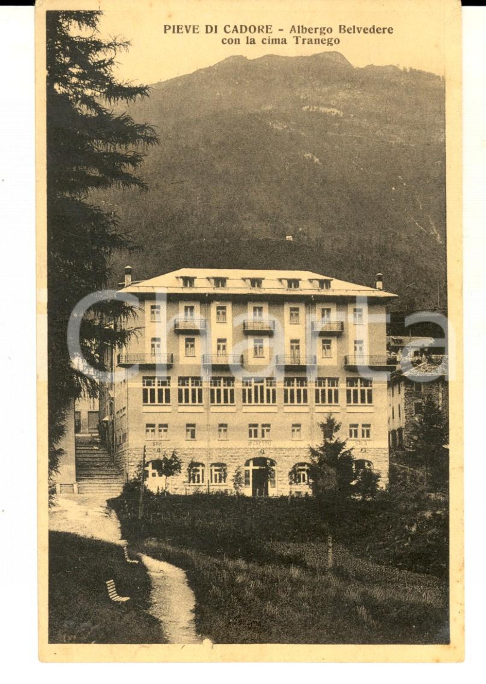 Cartolina originale da collezione 1910 ca PIEVE DI CADORE Albergo BELVEDERE e cima TRANEGO Cartolina FP NV 1