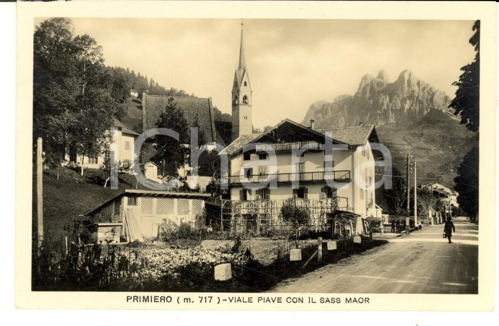 1934 PRIMIERO (TN) Viale PIAVE con il SASS MAOR *Cartolina postale FP