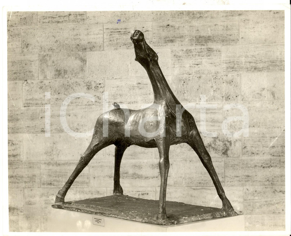 Fotografia d epoca originale 1970 ca ARTE Marino MARINI Cavallo Foto della scultura in bronzo 20x16 cm 1