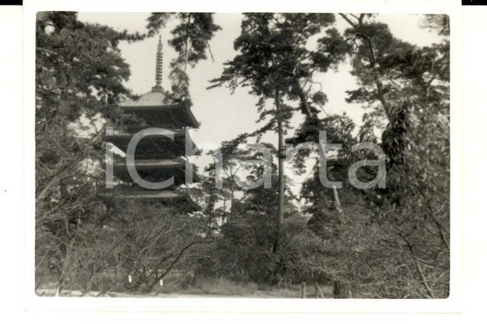 1958 KYOTO (JAPAN) Pagodacontigua al tempio NInna-ji *Foto VINTAGE 9x7 cm