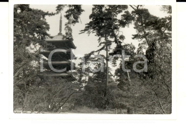 Fotografia d epoca originale 1958 KYOTO JAPAN Pagodacontigua al tempio NInnaji Foto VINTAGE 9x7 cm 1
