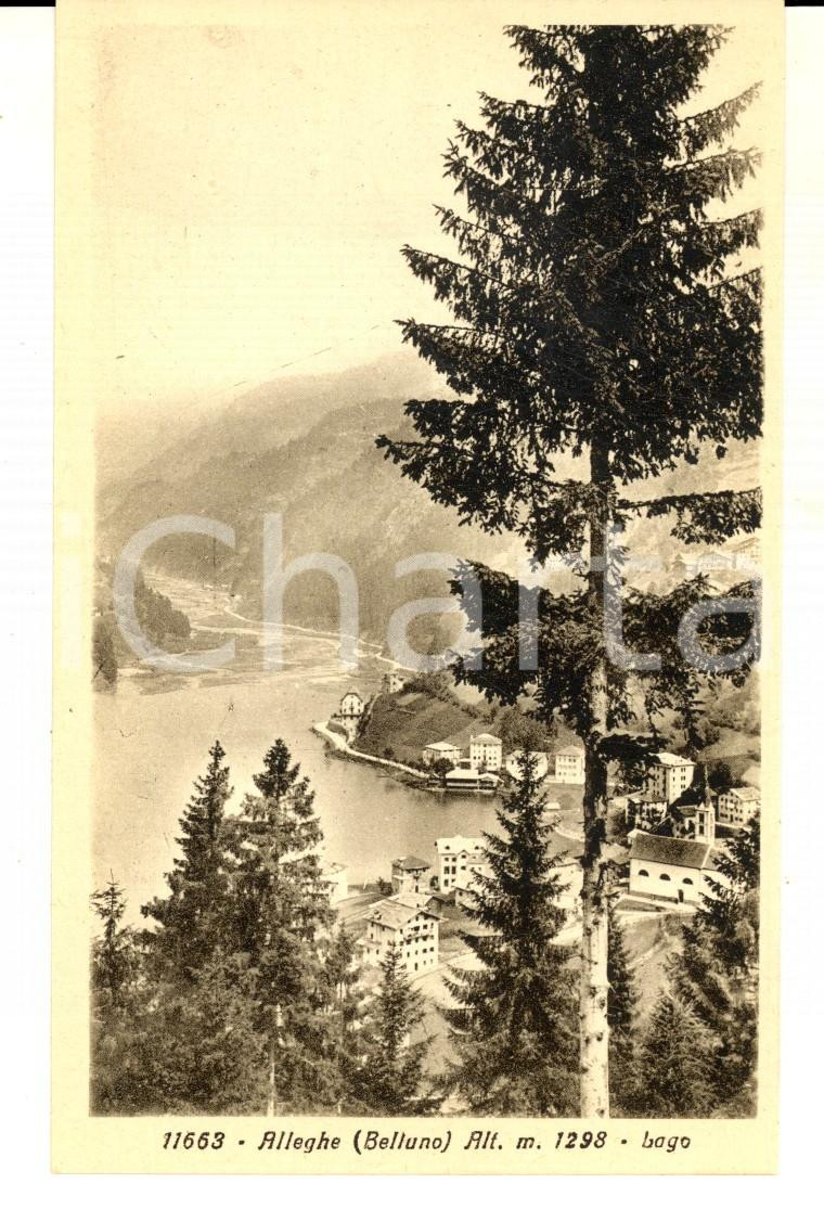 Cartolina originale da collezione 1930 ca ALLEGHE BL Panorama del paese con il lago Cartolina FP NV 1