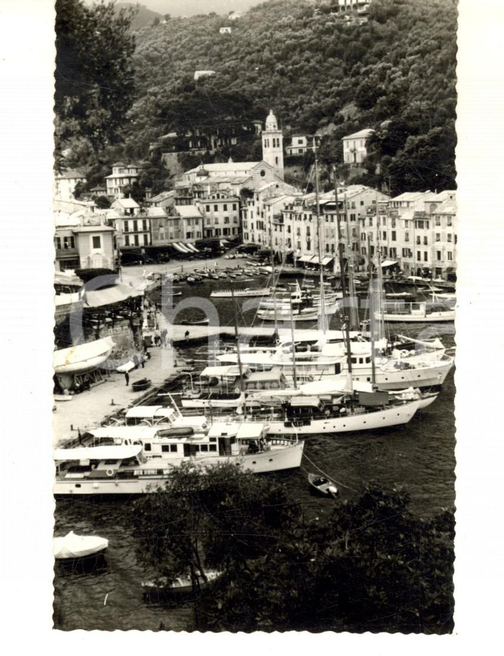 1960 ca PORTOFINO Veduta del porticciolo con le barche - Fotocartolina VINTAGE