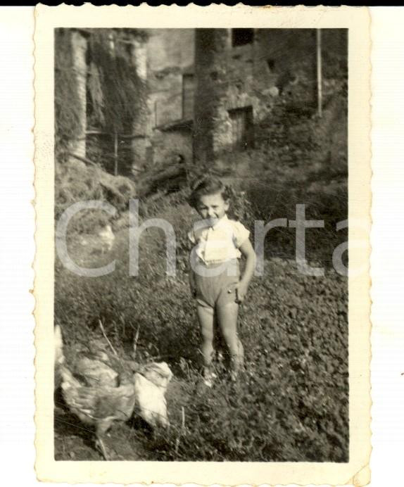 Fotografia d epoca originale 1940 AREA LOMBARDA Bambina in una cascina con le galline Foto VINTAGE 7x8 1