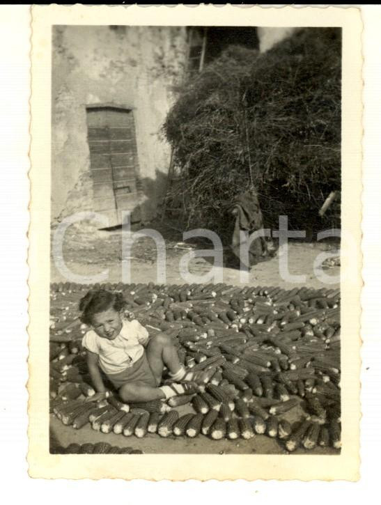 Fotografia d epoca originale 1940 AREA LOMBARDA Bambina in una cascina tra le pannocchie Foto VINTAGE 7x8 1