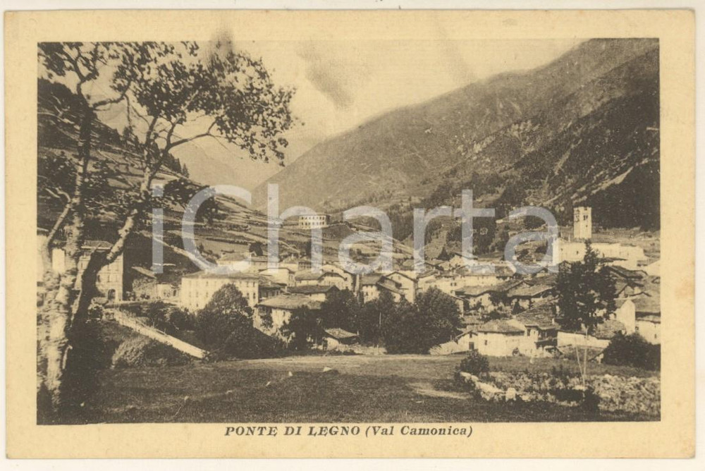Cartolina originale da collezione 1930 ca PONTE DI LEGNO Veduta in Valle CAMONICA Cartolina Rodolfo SANDRINI 1