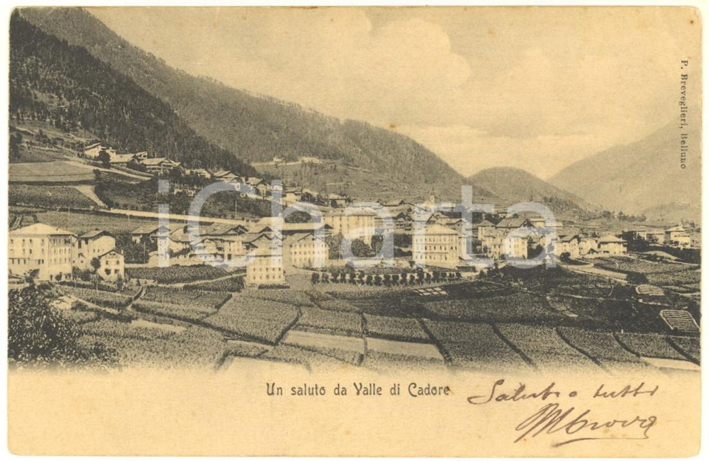 Cartolina originale da collezione 1906 VALLE DI CADORE BL Veduta panoramica Cartolina postale FP VG 1
